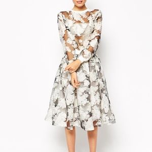 Fashion Union Full Skirt in Printed Floral Organza